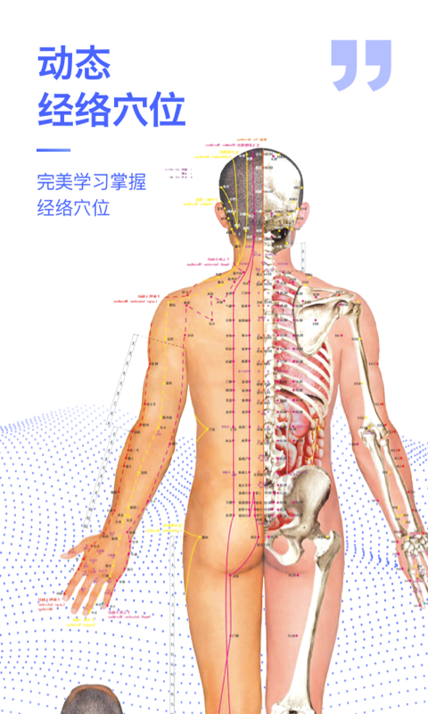 解剖学图谱截图