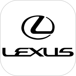 Lexus Accessory